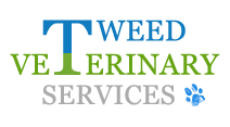 Tweed Veterinary Services